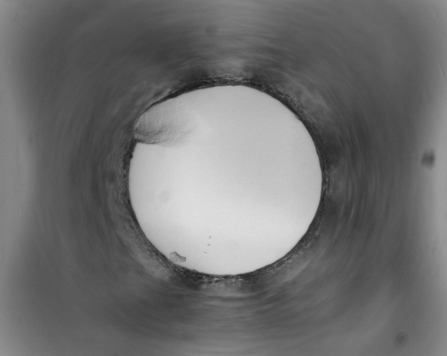 X0000100981201200807151407