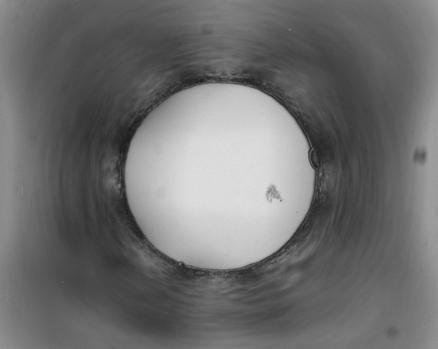 X0000100981202200807151407