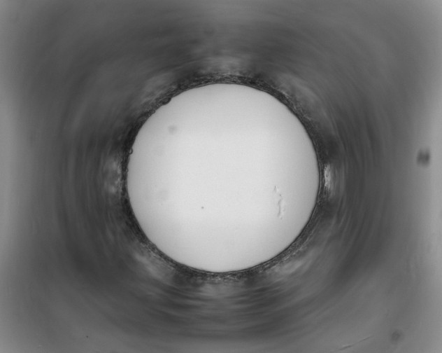 X0000100981203200807151407