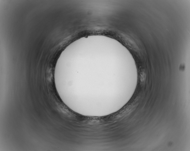 X0000100981204200807151407