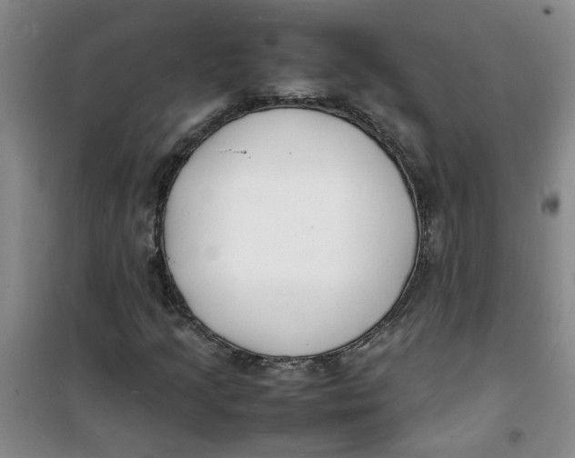 X0000100981205200807151407