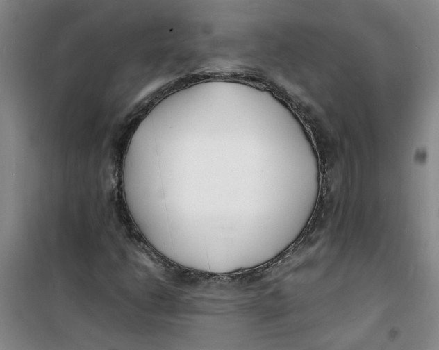 X0000100981206200807151407