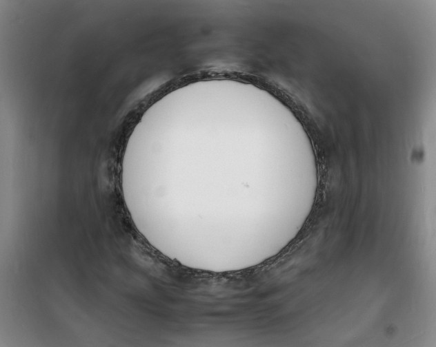 X0000100981207200807151407