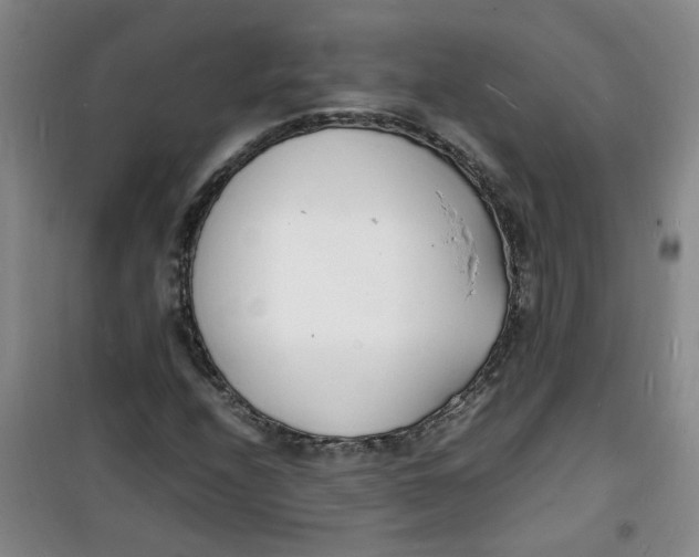 X0000100981208200807151407