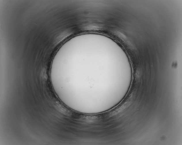 X0000100981209200807151407