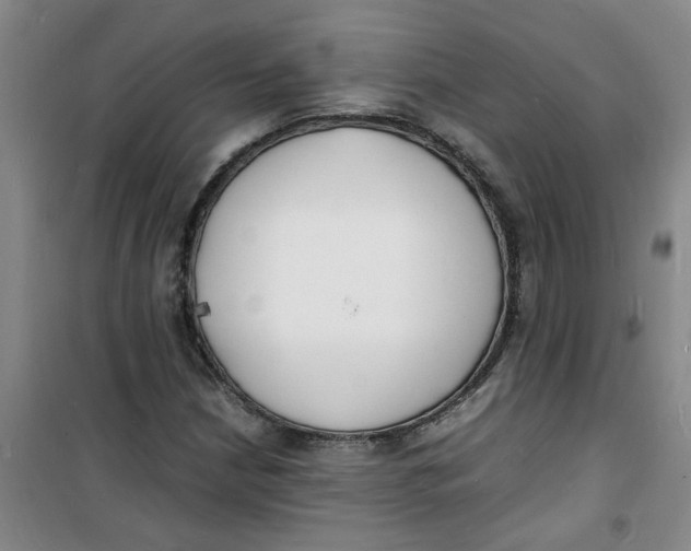 X0000100981210200807151407