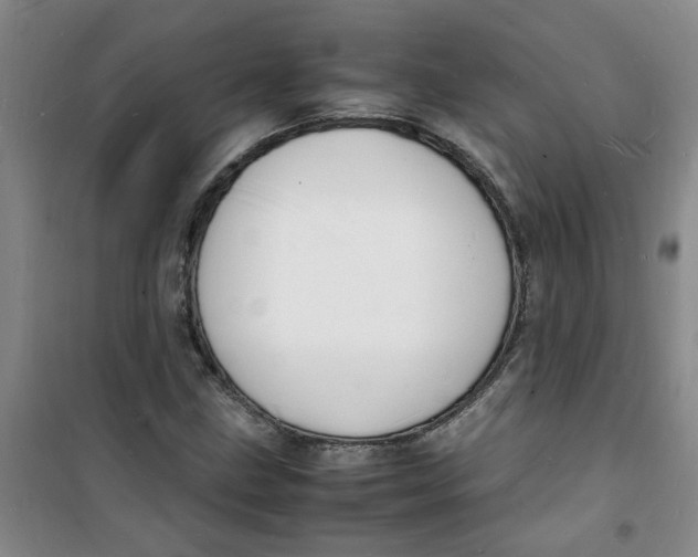 X0000100981211200807151407