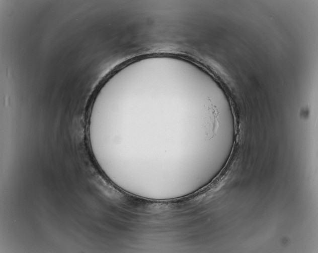 X0000100981212200807151407