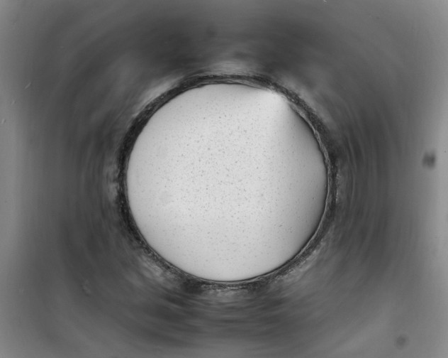 X0000100981213200807151407