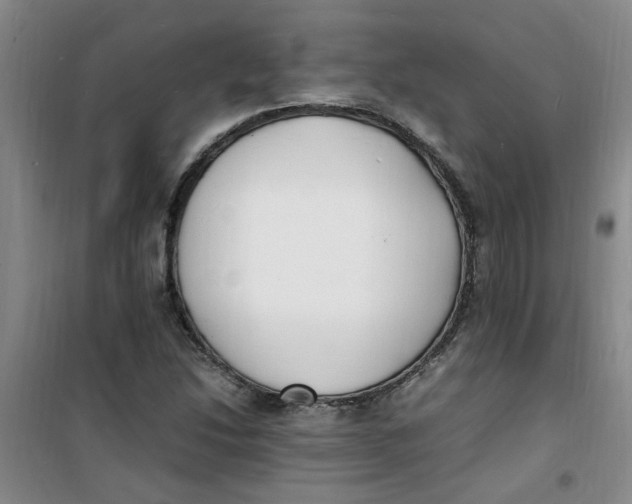 X0000100981214200807151407