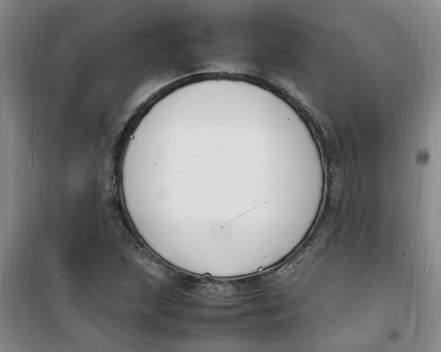 X0000100981215200807151407