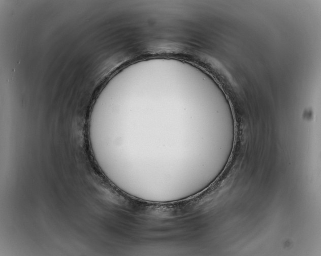 X0000100981217200807151407