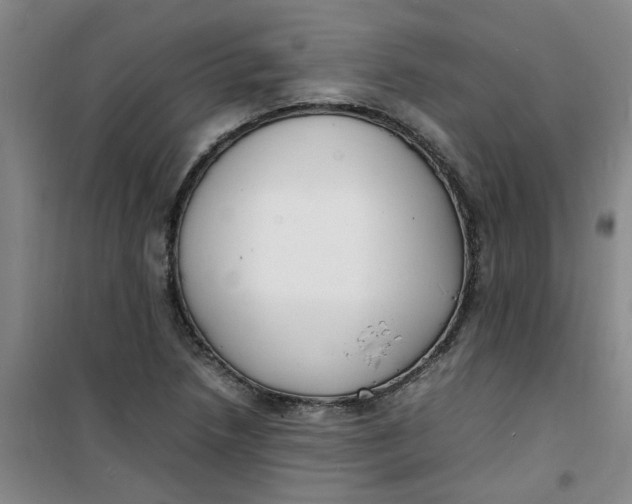 X0000100981218200807151407