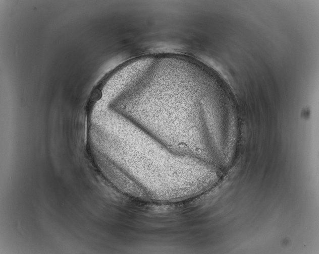 X0000100981219200807151407