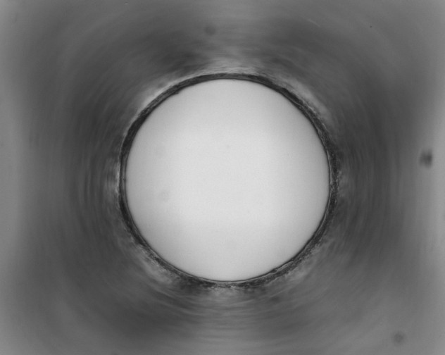 X0000100981220200807151407