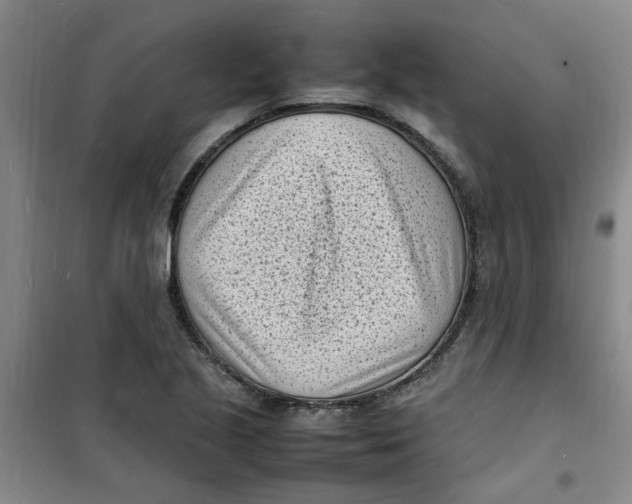 X0000100981221200807151407