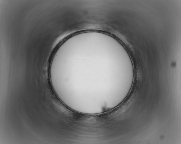 X0000100981222200807151407