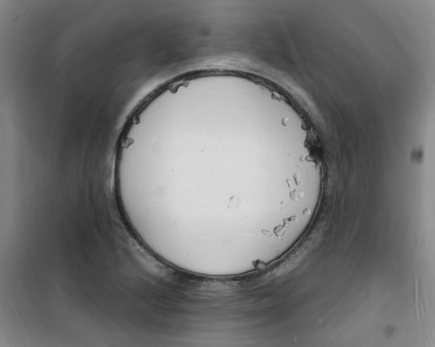 X0000100981224200807151407