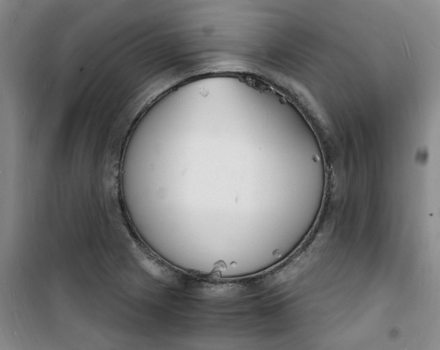 X0000100981225200807151407