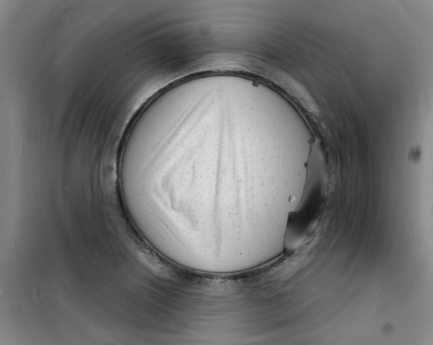 X0000100981226200807151407