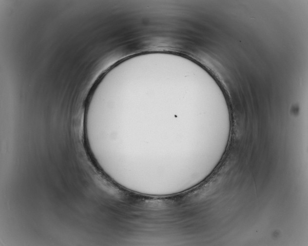 X0000100981227200807151407