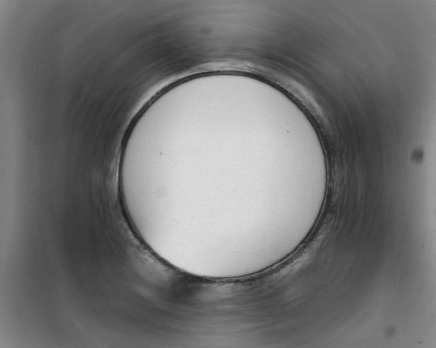 X0000100981228200807151407