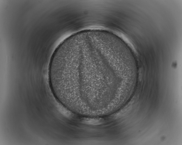 X0000100981229200807151407