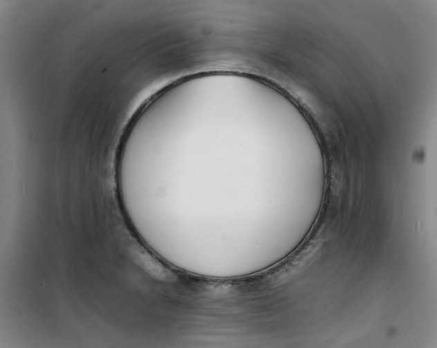 X0000100981230200807151407