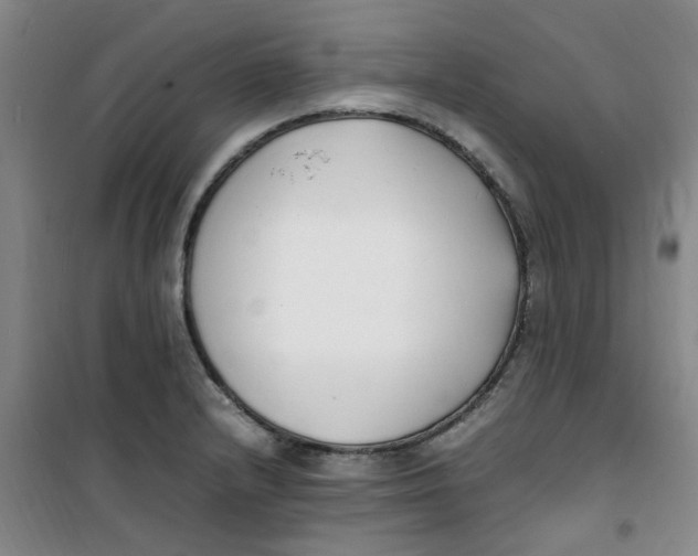 X0000100981232200807151408