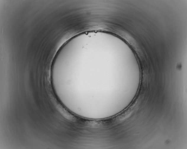 X0000100981234200807151408