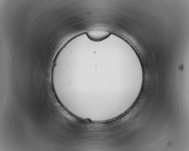 X0000100981236200807151408