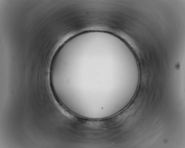 X0000100981237200807151408