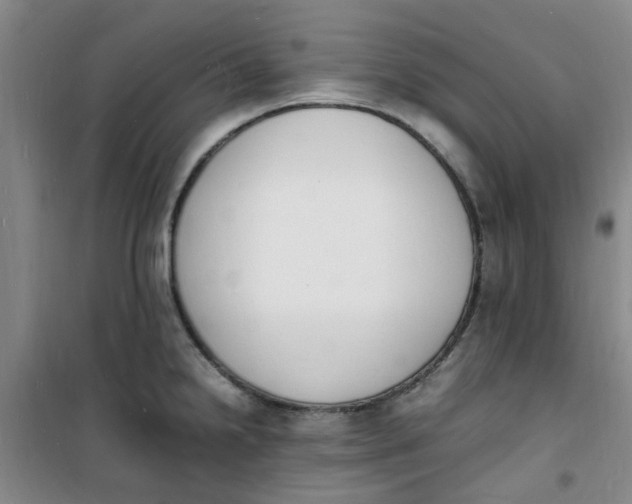 X0000100981238200807151408