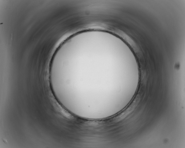 X0000100981240200807151408