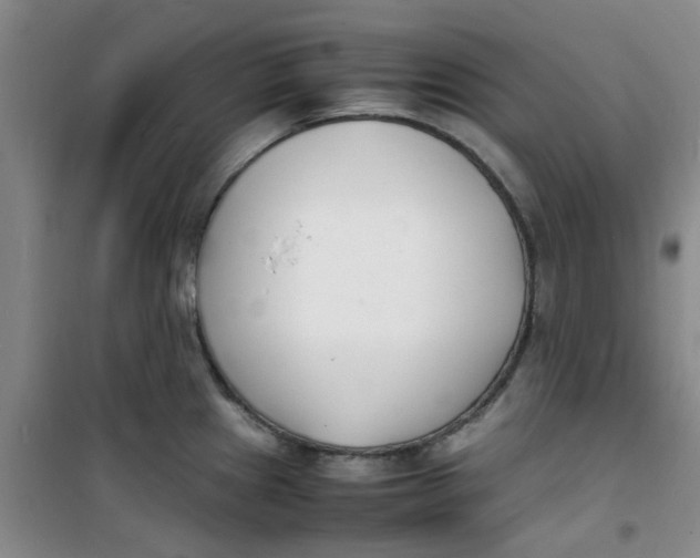 X0000100981241200807151408