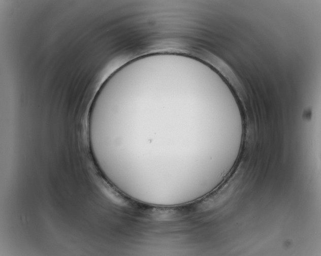 X0000100981242200807151408