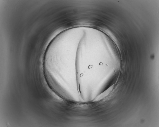 X0000100981243200807151408