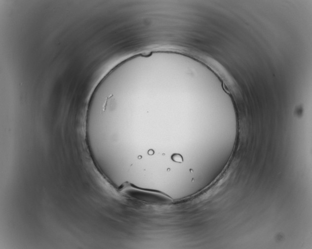 X0000100981244200807151408