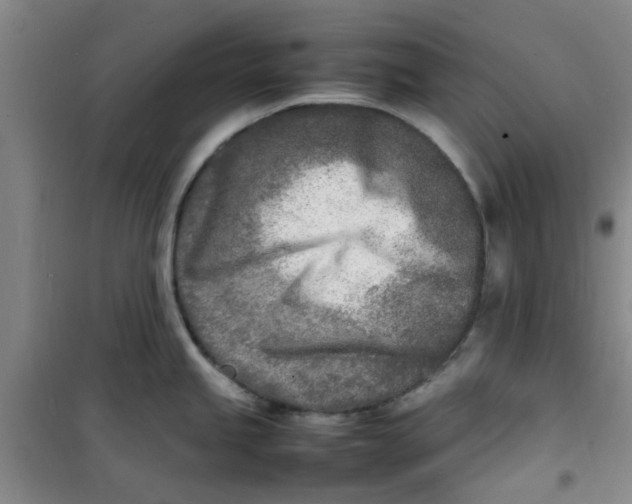 X0000100981245200807151408