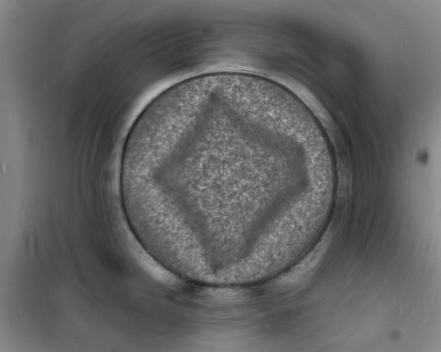 X0000100981246200807151408