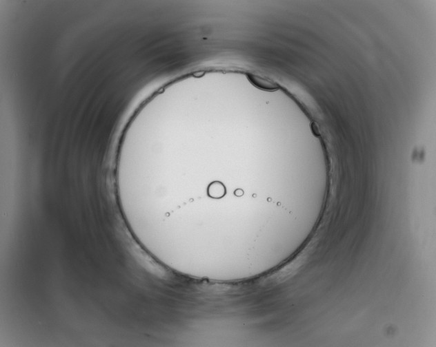 X0000100981248200807151408