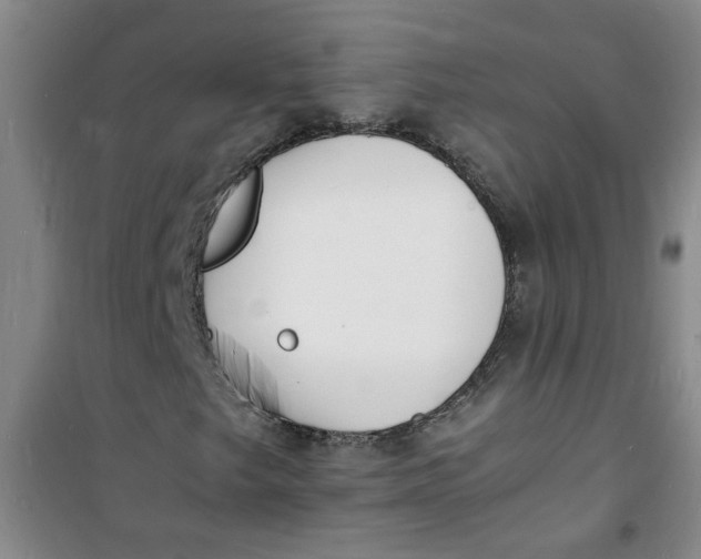 X0000100981249200807151407