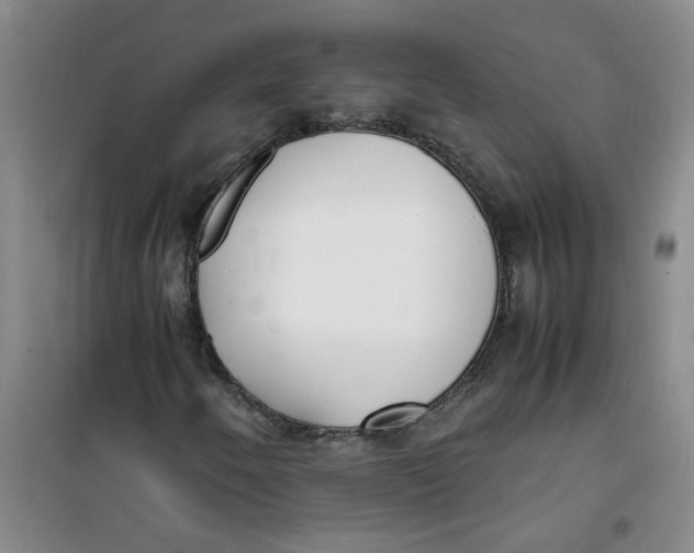 X0000100981250200807151407