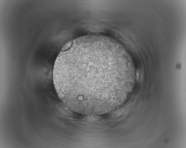 X0000100981251200807151407