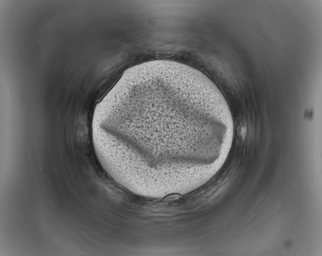 X0000100981252200807151407