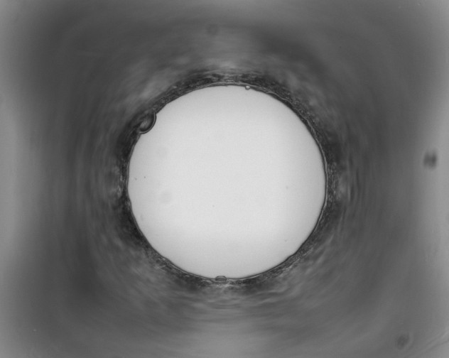 X0000100981253200807151407