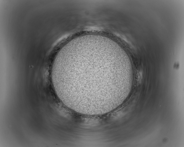 X0000100981254200807151407