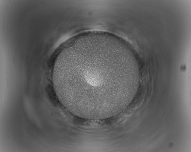 X0000100981255200807151407