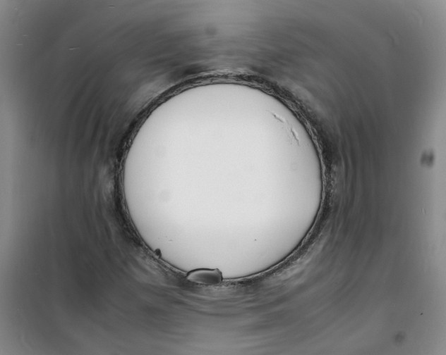 X0000100981257200807151407