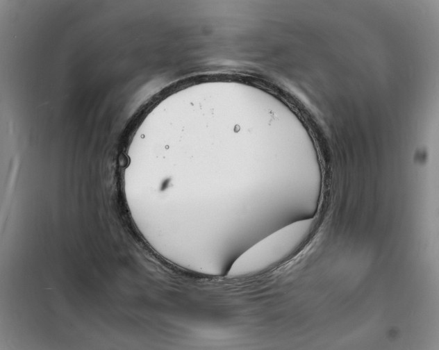 X0000100981259200807151407